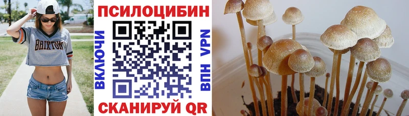 Галлюциногенные грибы Magic Shrooms  Богородск 